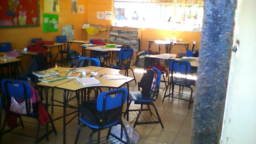 Primaria General Leandro Valle