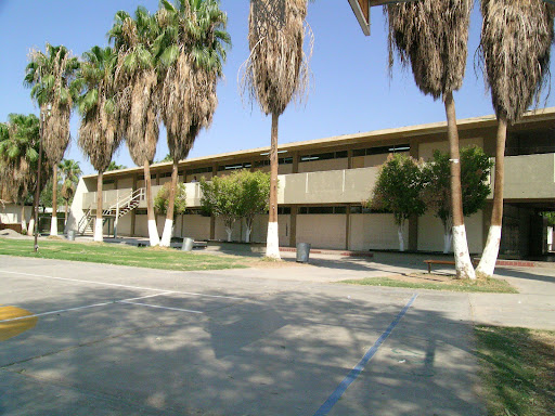 Plantel Nuevo León Cobach