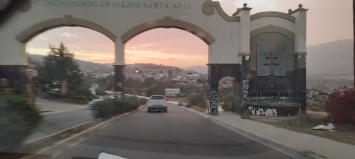 Lomas de Santa Anita
