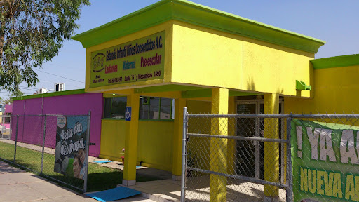 Estancia Infantil Niños Consentidos