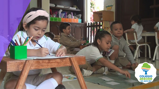 Colegio Arbore