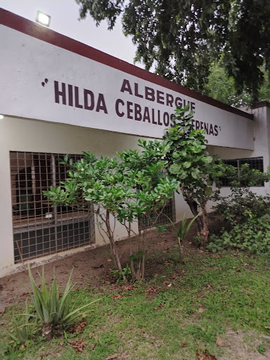 Guarderia Gustavo Vazquez