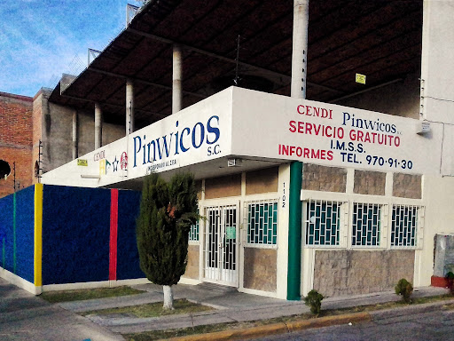 CENDI Pinwicos