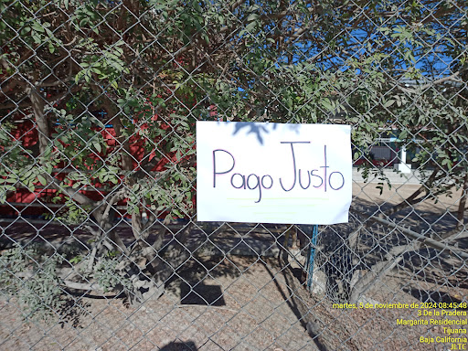 JARDIN DE NIÑOS NUEVA CREACION